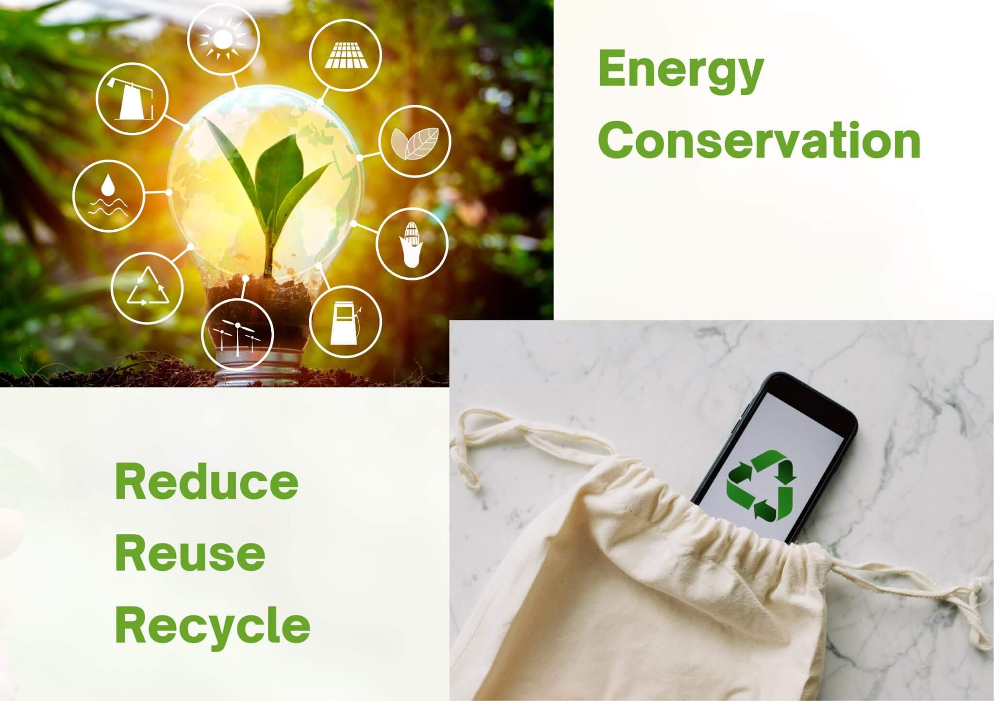 Tree-planting-initiatives-and-waste-reduction-campaigns